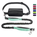 HydroFit Hands-Free Running Belt & Dog Leash